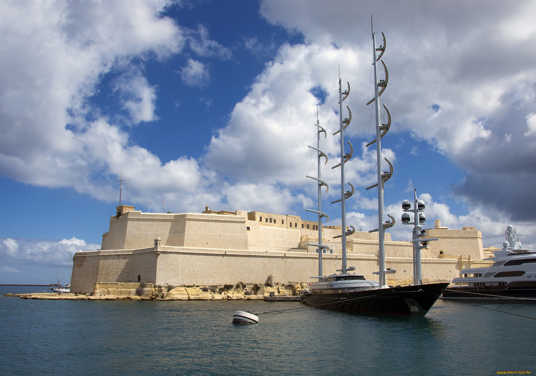 maltese falcon, , , 
